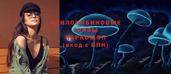 твердый Магас