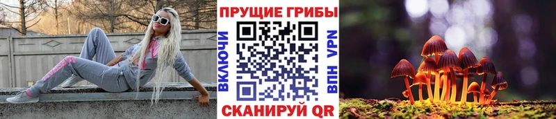 Псилоцибиновые грибы Psilocybe  Жигулёвск 